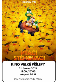Kino - plakát k filmu