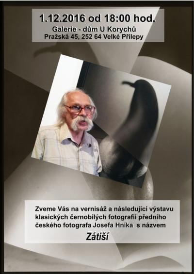 Josef Hník - Zátiší