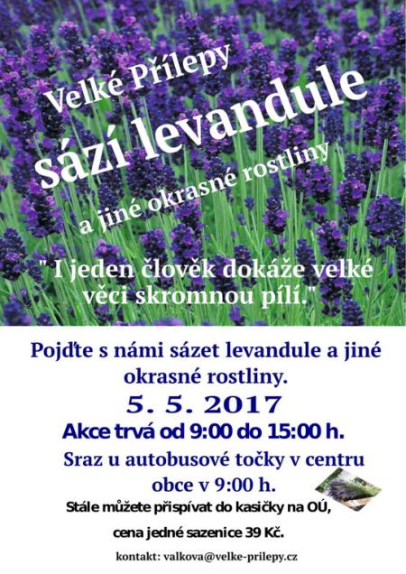Velké Přílepy sází levandule a jiné obrasné rostliny - "I jeden člověk dokáže velké věci skromnou pílí." Pojďte s námi sázet levandule a jiné okrasné rostliny. Akce trvá od 9:00 do 15:00 h. Sraz u autobusové točky v centru obce v 9:00