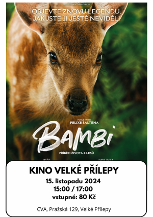 Kino - plakát k filmu