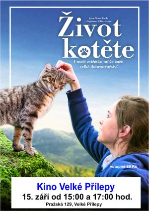 Kino - plakát k filmu
